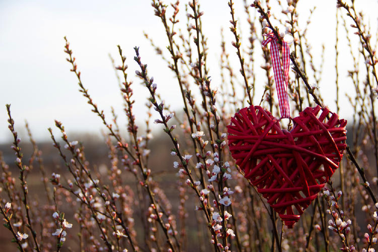 corazon flores