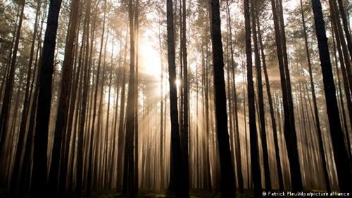 63540878_303 63540878_303