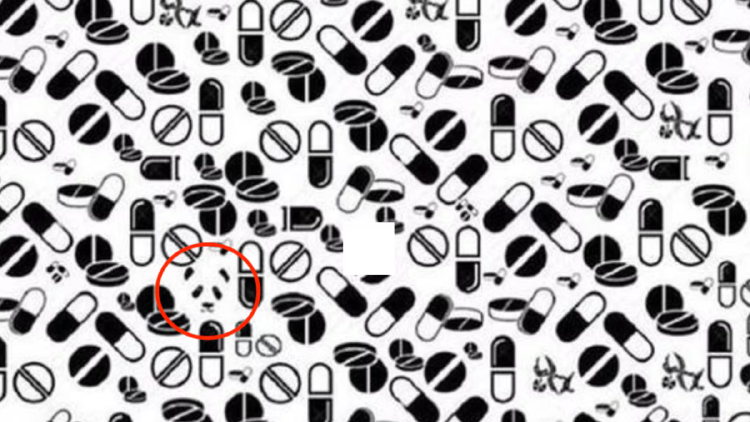 test panda Resultado del desafío visual