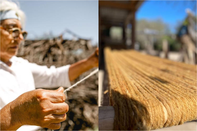 telarmadre telarmadre