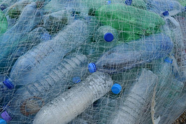 plastic0 Dos surfistas han sacado millones de desperdicios del océano