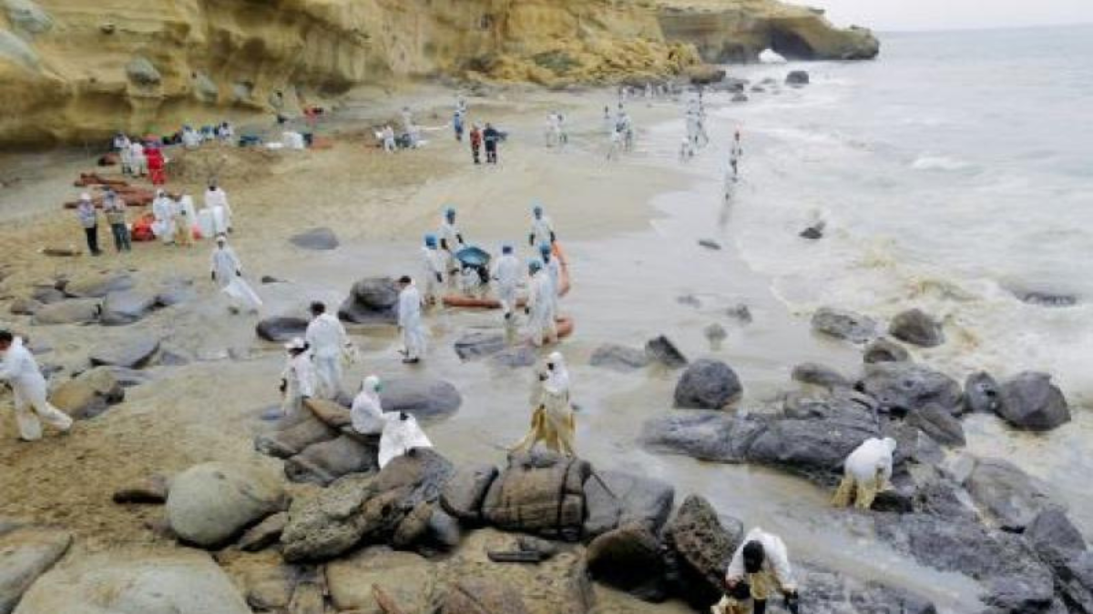 petroleo delfines Derrame de petróleo en Piura.