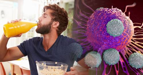Encuentran cómo energizar el sistema inmunológico para comer células con cáncer