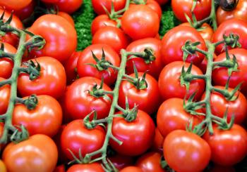tomate tomate