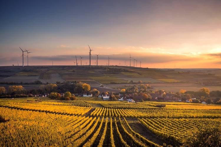 Cuáles son las energías renovables limpias