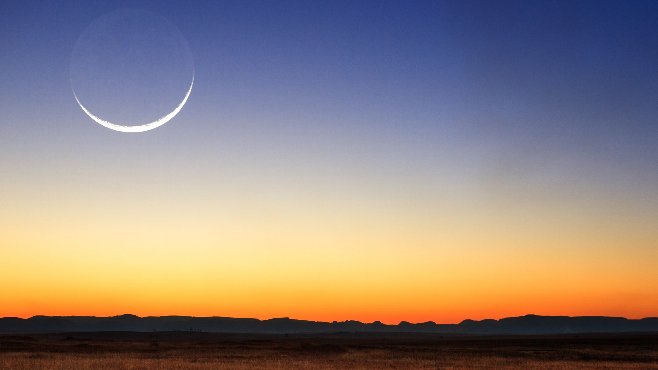 Luna Nueva Luna Nueva