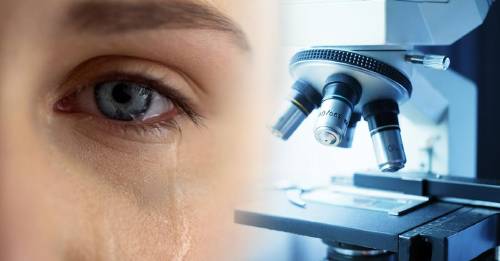 lagrimas iguales microscopio lagrimas iguales microscopio