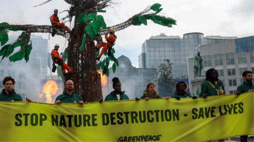 GREENPEACE Greenpeace podría quedar en quiebra por la demanda de una compañía energética. Foto: (EFE/EPA/OLIVIER HOSLET
