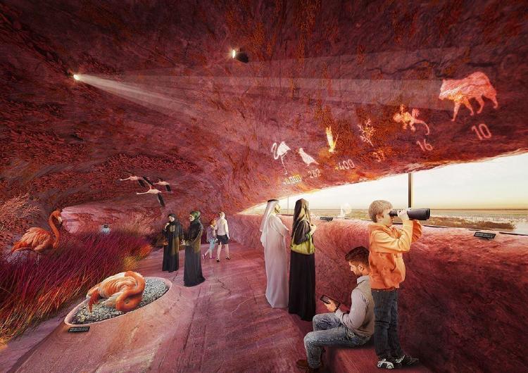 abu dhabi flamingo visitor center abu dhabi flamingo visitor center