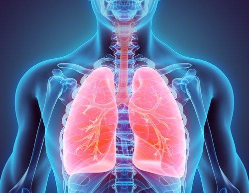 fibrosis pulmonar fibrosis pulmonar