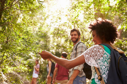 AdobeStock_82814630(1) AdobeStock_82814630(1)