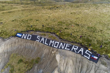 BanderazoBinacional