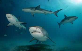 AdobeStock_310074095(1) AdobeStock_310074095(1)