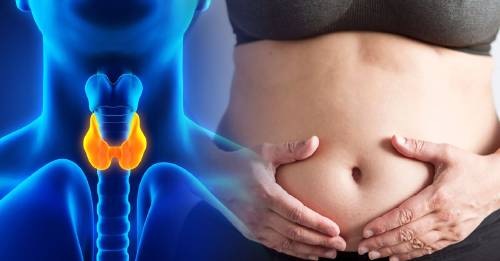 7 hormonas que te pueden estar evitando perder peso