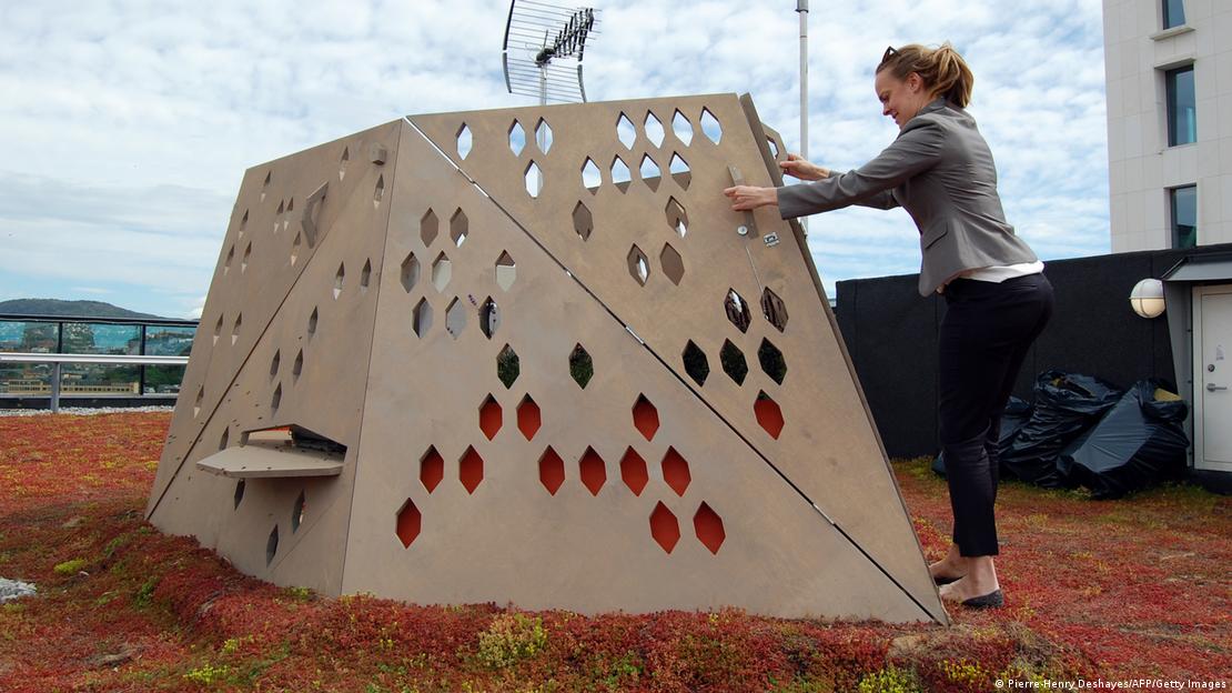 69014772_906 69014772_906