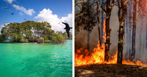 Por qué debería preocuparte el incendio forestal de la reserva de Sian Ka'an