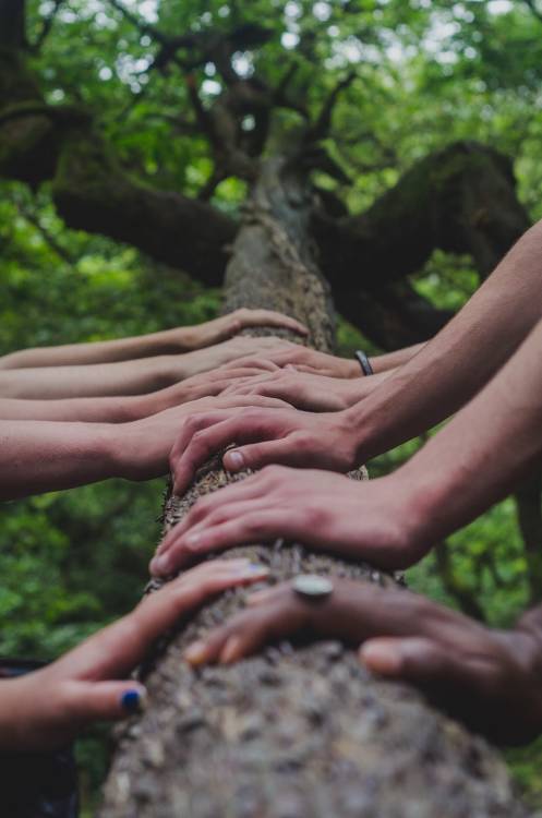 Solidaridad valor definicion Por qué es importante el valor solidaridad