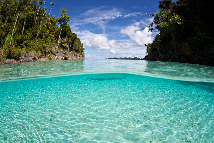 TRIANGULO DE CORAL TRIANGULO DE CORAL
