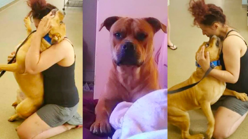 _portada bioguia (4) _portada bioguia (4)