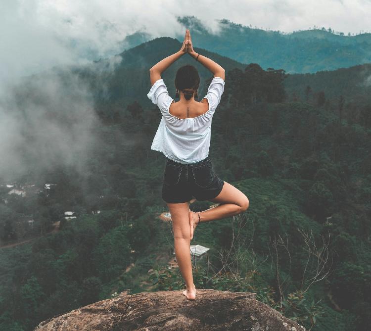 Propiocepción 3 Propiocepción