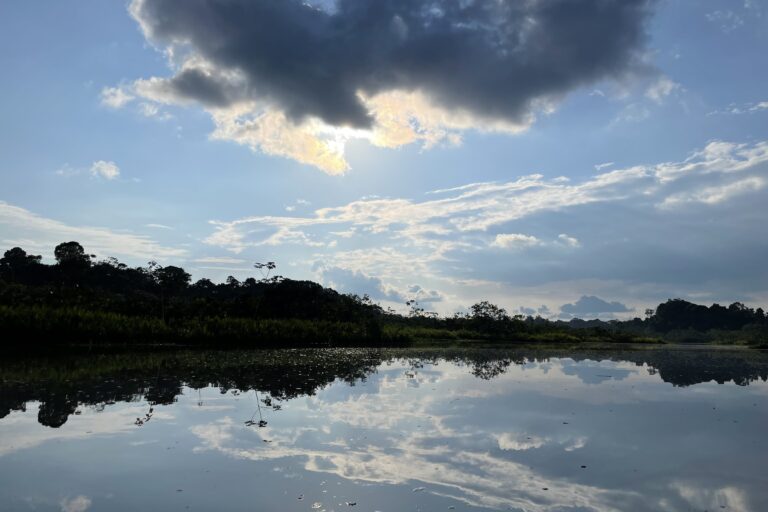 IMG_9435 768x512 IMG_9435 768x512