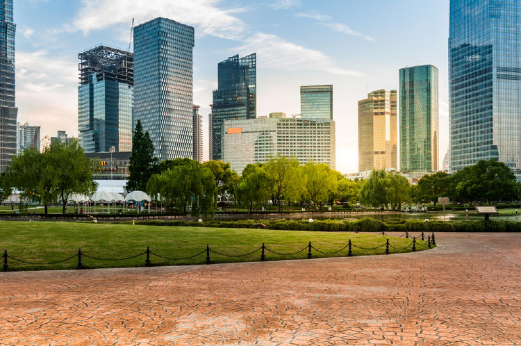 arboles ciudad ecosistemas