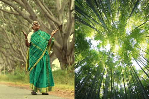 Se la conoce como la "mujer de los bosques" y ha plantado casi 10.000 árboles