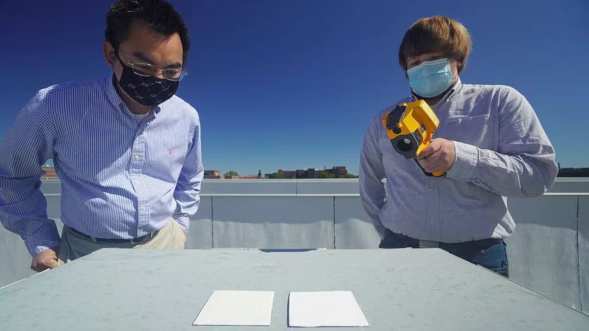 pintura blanca pintura blanca