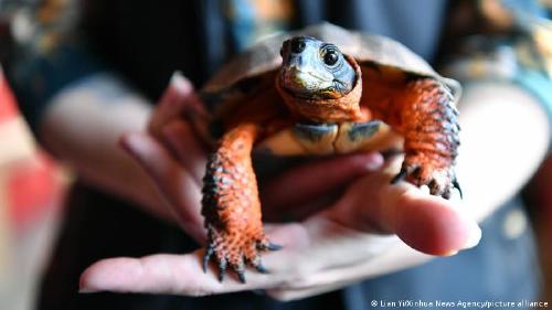 64148353_303 64148353_303