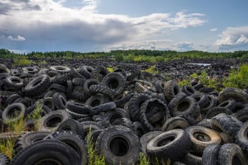 AdobeStock_343206632(1) AdobeStock_343206632(1)