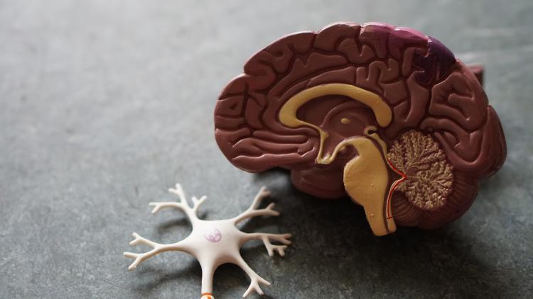 dia mundial del alzheimer dia mundial del alzheimer