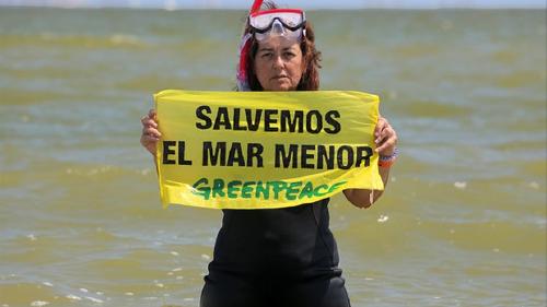 Greenpeace Greenpeace