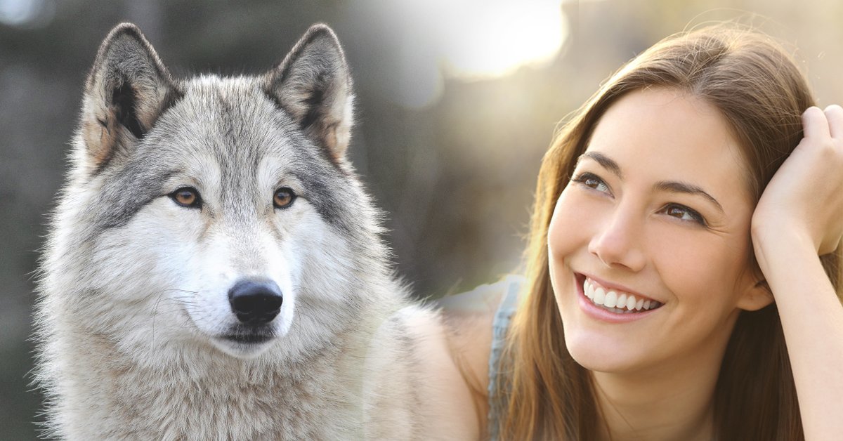 7 frases del libro “las mujeres que corren con los lobos” para sanar  heridas emocionales | Bioguia