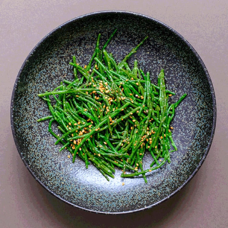 salicornia salicornia