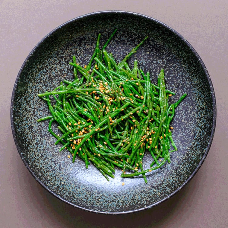 salicornia