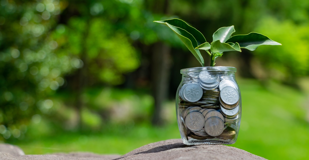 dinero planta ambientalismo de libre mercado