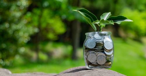 dinero planta ambientalismo de libre mercado