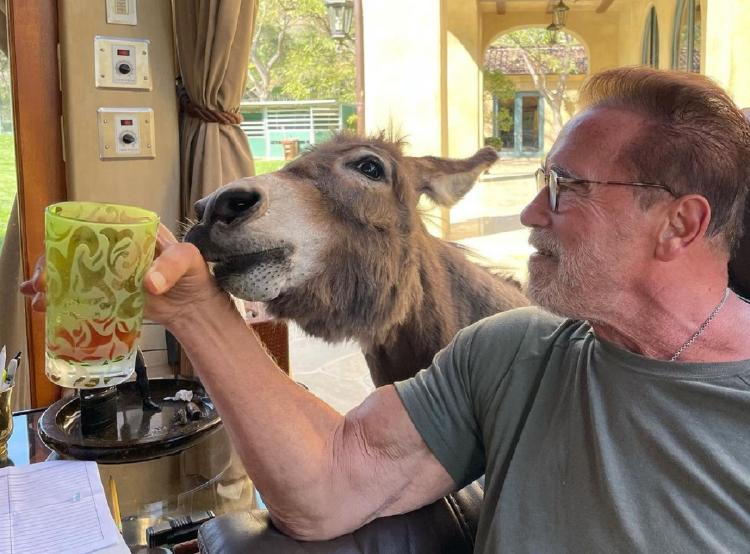 Arnold Schwarzenegger Arnold Schwarzenegger