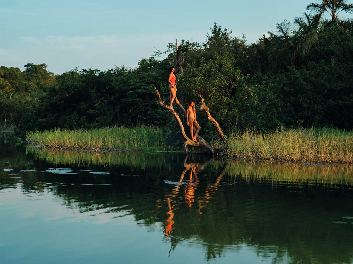 Natura foto de portada Natura foto de portada