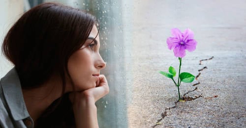 mujer mirando por la ventana, flor buscando la luz a pesar de las adversidades, superarse a uno mismo