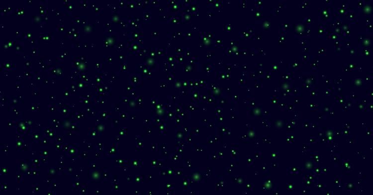 curiosidades túnel de las luciérnagas curiosidades túnel de las luciérnagas