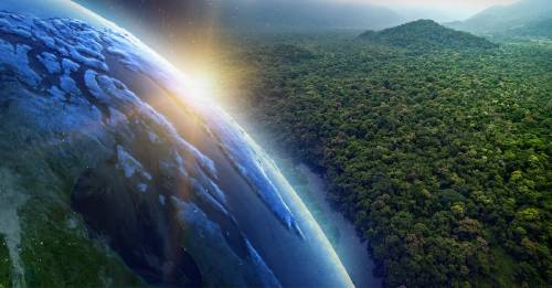 La tierra es más verde que hace 20 años, según la NASA