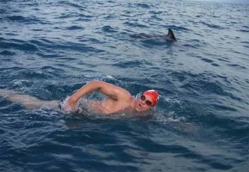 adam ealker delfines adam ealker delfines