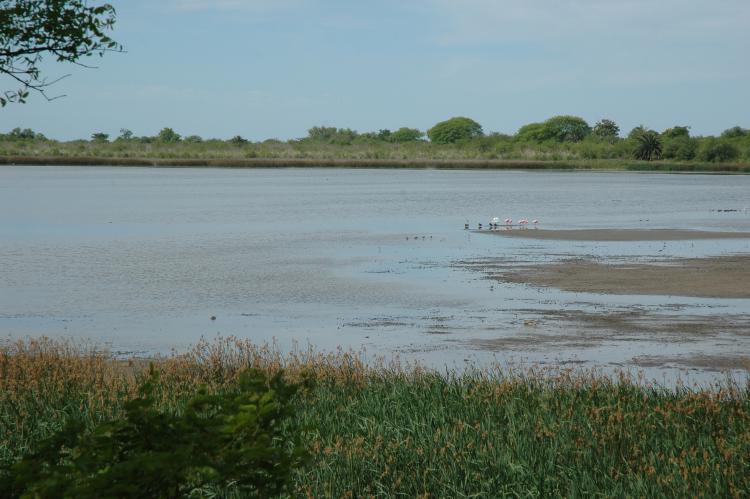 8cd8c8e9b3c7832faa6752a06c319bbf855b552e 8cd8c8e9b3c7832faa6752a06c319bbf855b552e