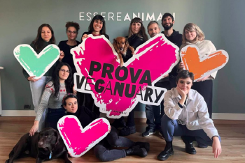 Prova Veganuary Prova Veganuary