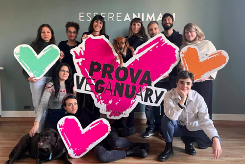 Prova Veganuary Prova Veganuary