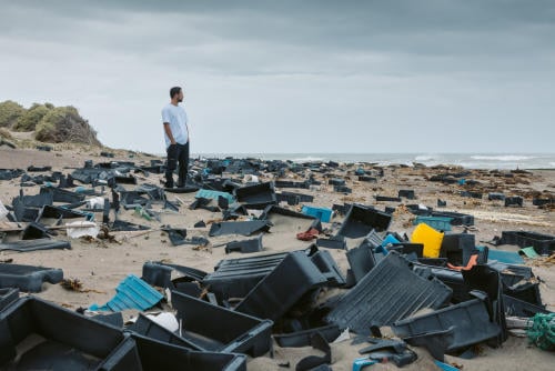 MM_230410_Valdes 196 MM_230410_Valdes 196