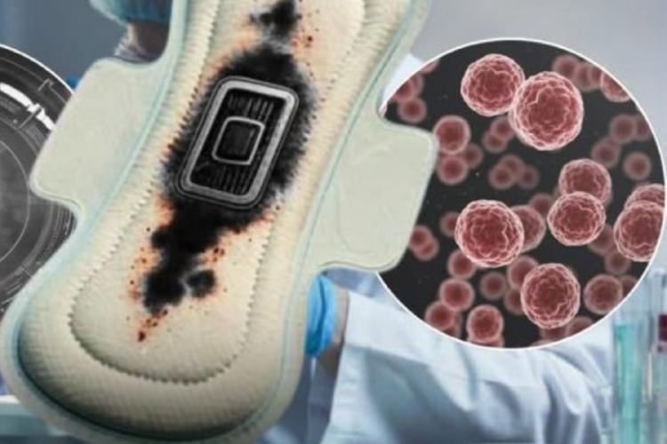 toalla menstrual Imagen: cerebro digital