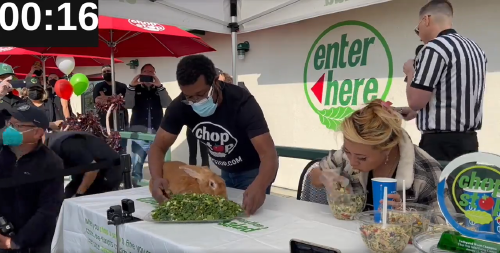 foto conejo foto conejo