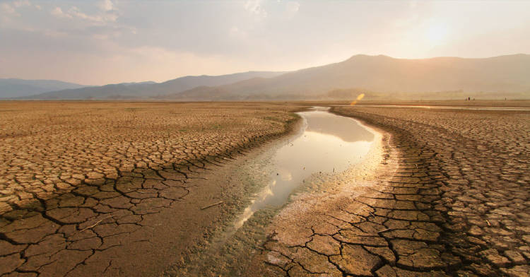 dialogo-tierra-crisis-climatica